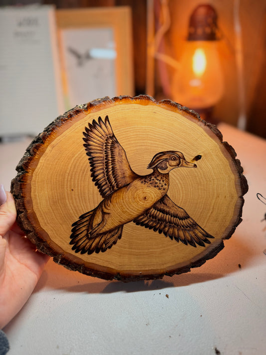 Wood duck slab