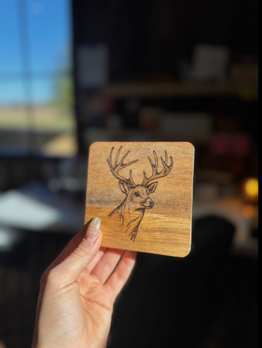 Wild coasters (set of 4)