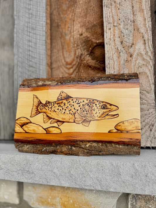 Brown trout wood-burned plank
