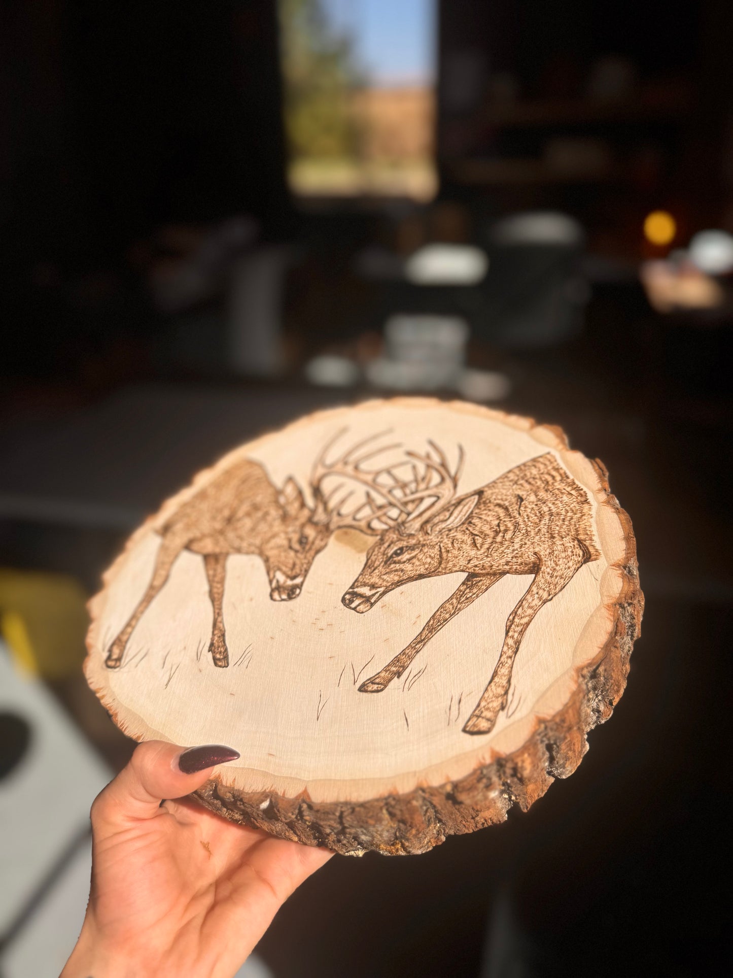 Buck sparring wood slab