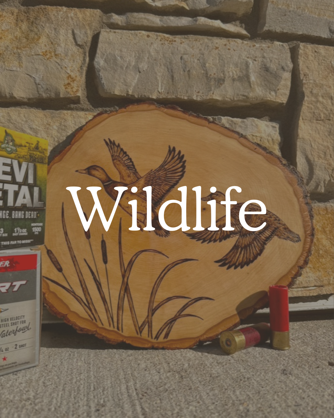Wildlife