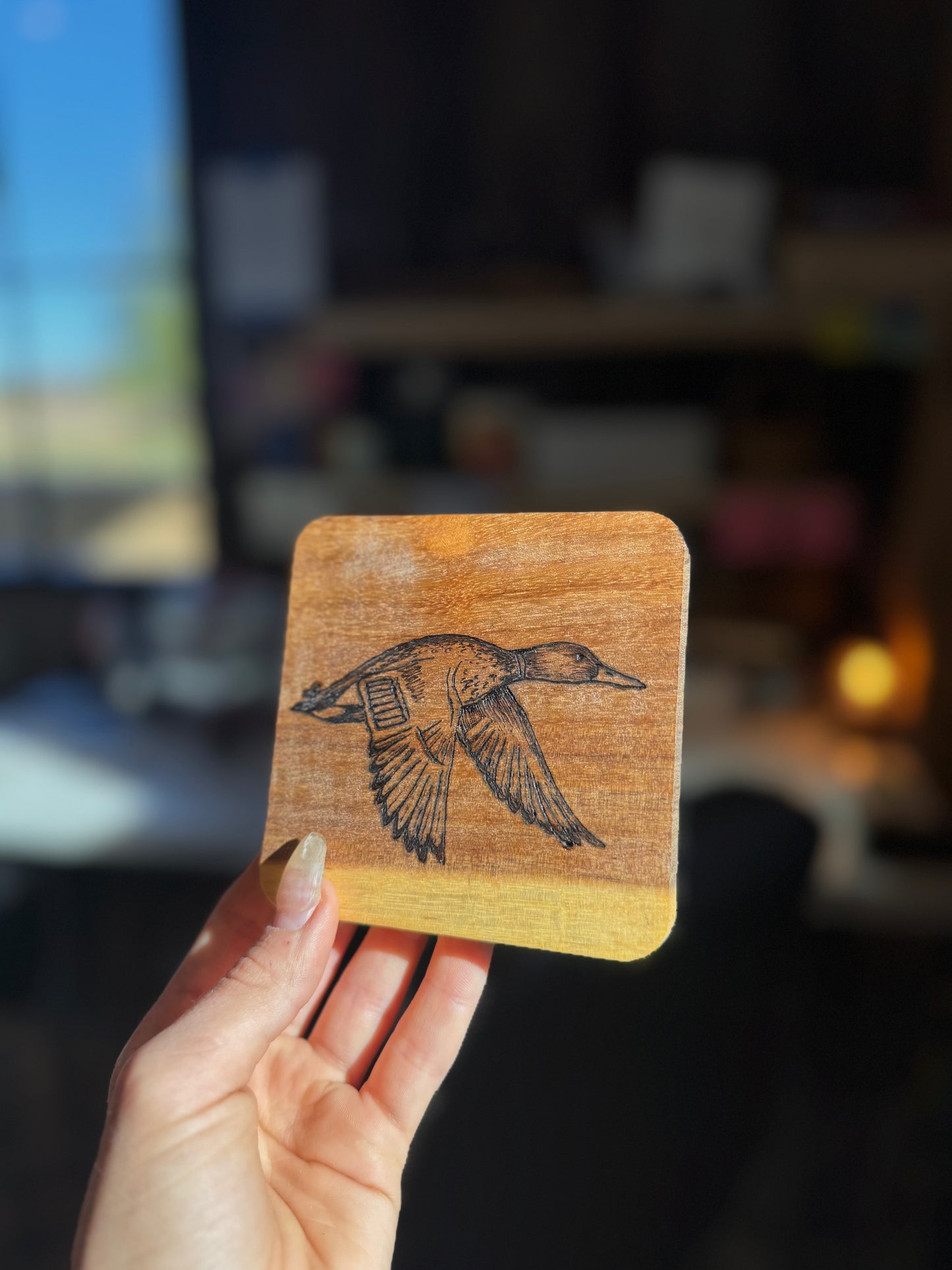 Wild coasters (set of 4)