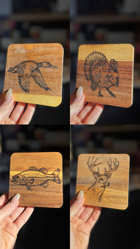 Wild coasters (set of 4)