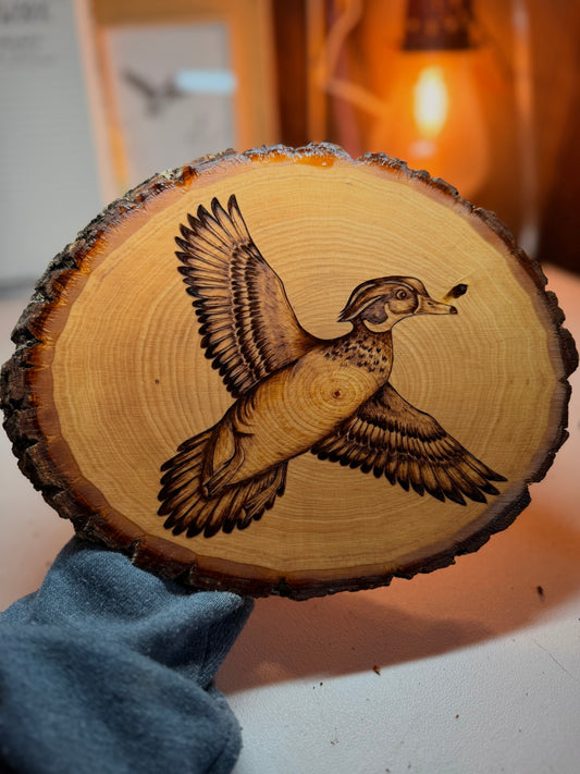 Wood duck slab
