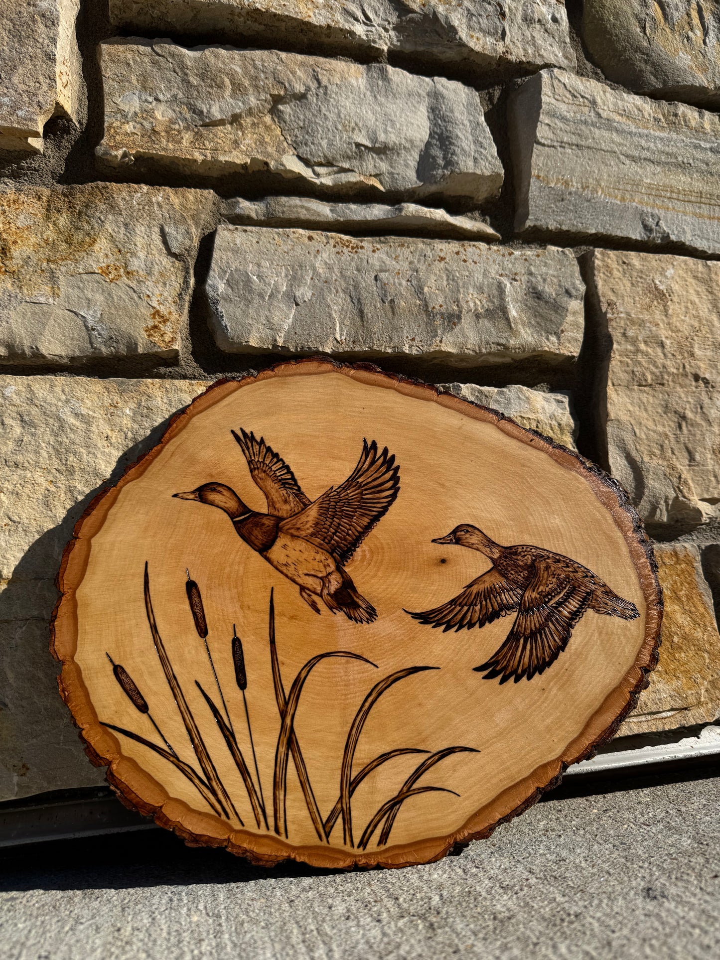 Mallard pair wood slab