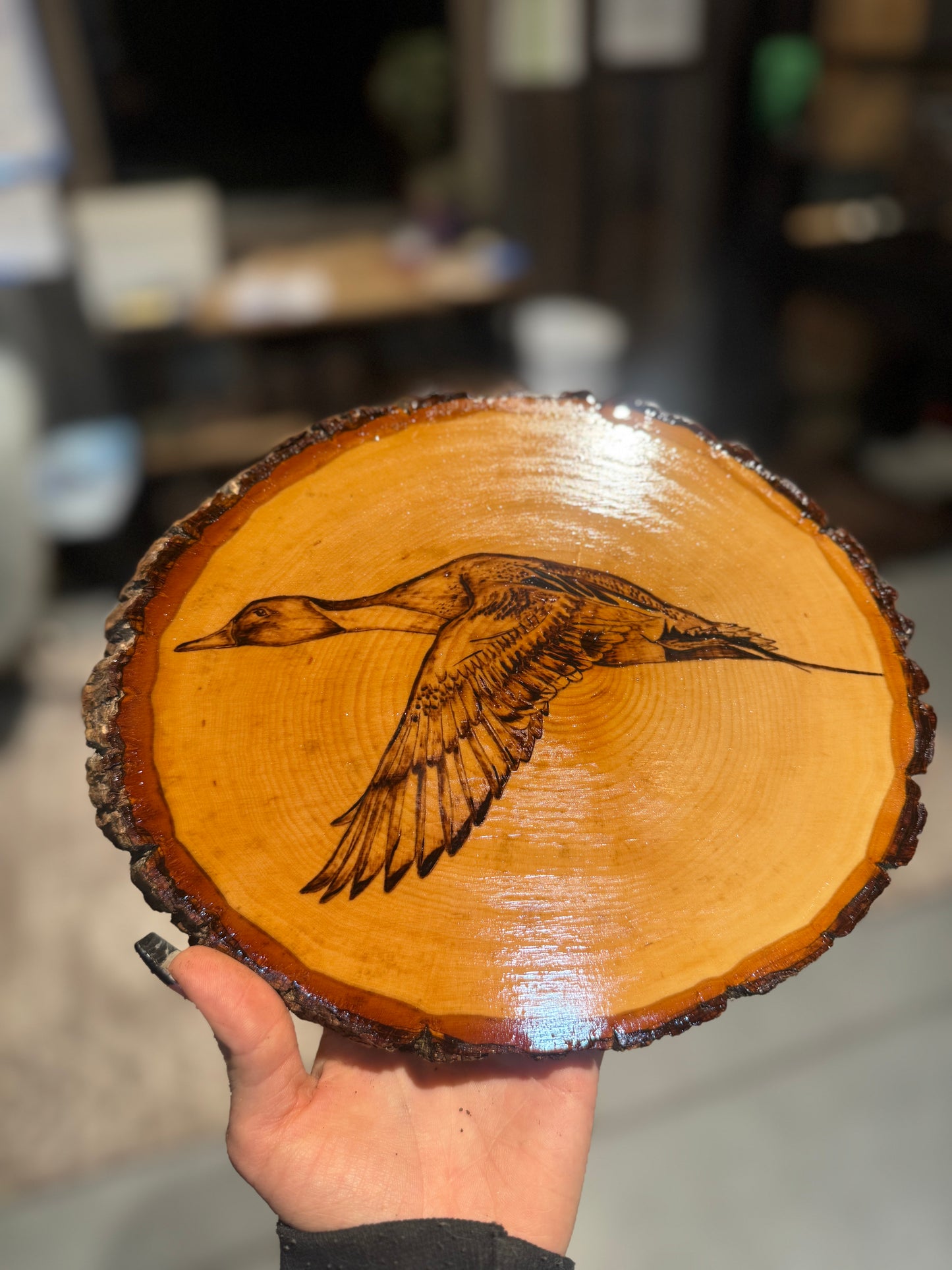 Pintail wood slab
