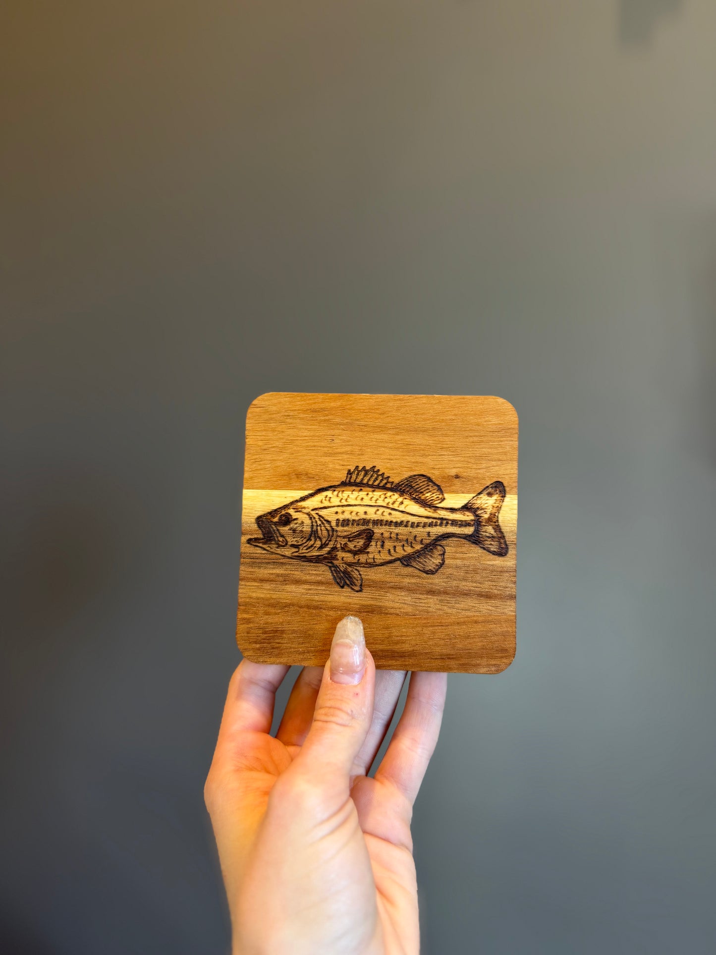Wild coasters (set of 4)