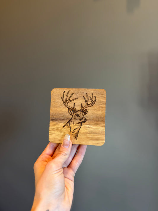 Wild coasters (set of 4)