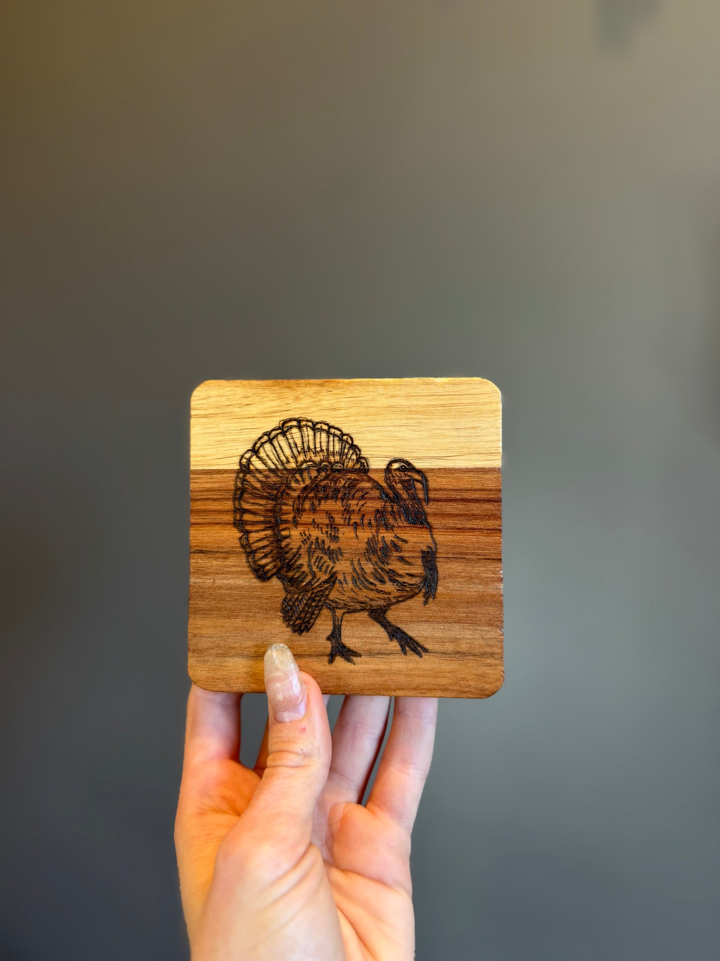 Wild coasters (set of 4)