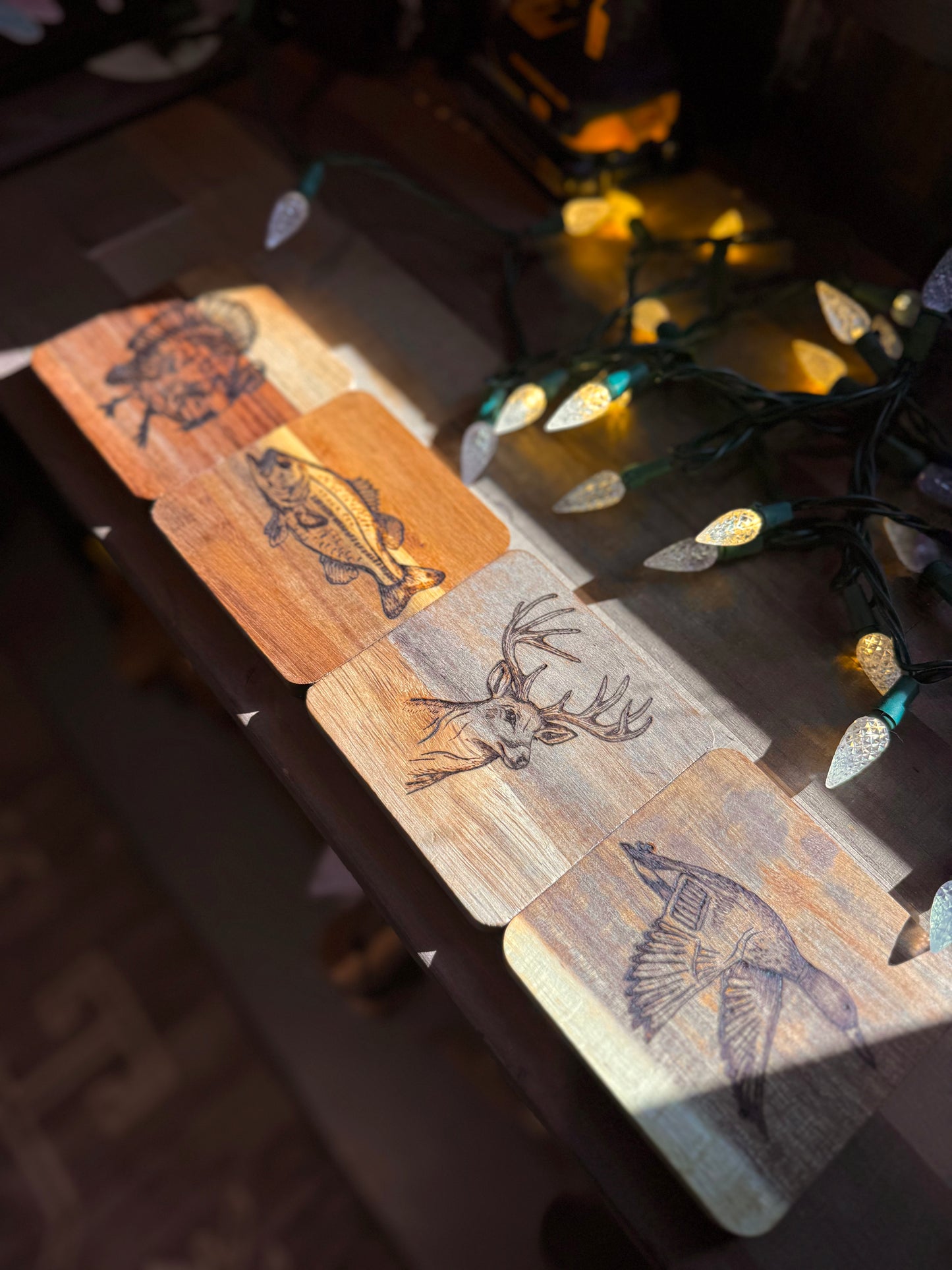 Wild coasters (set of 4)