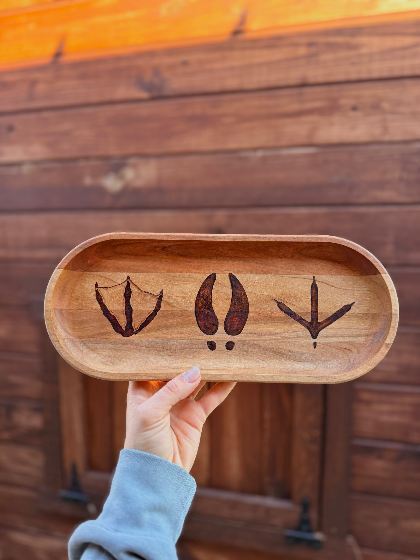 Animal tracks tray