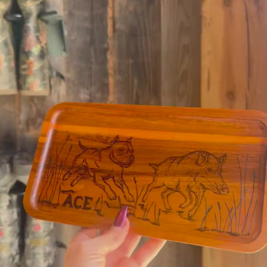 Custom hog hunting dog tray